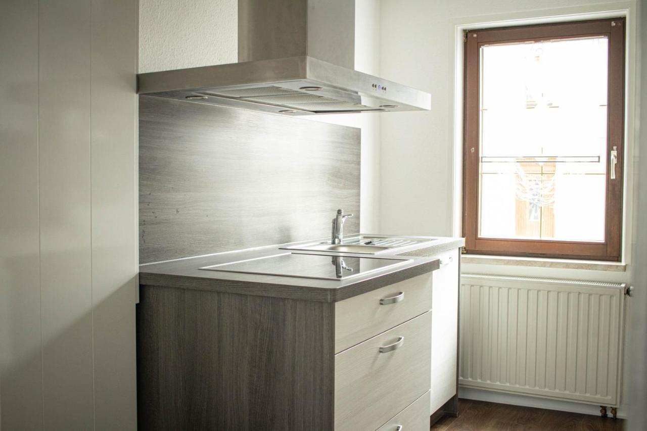 Ferienwohnung Am Schlosspark Ebersdorf  Ngoại thất bức ảnh